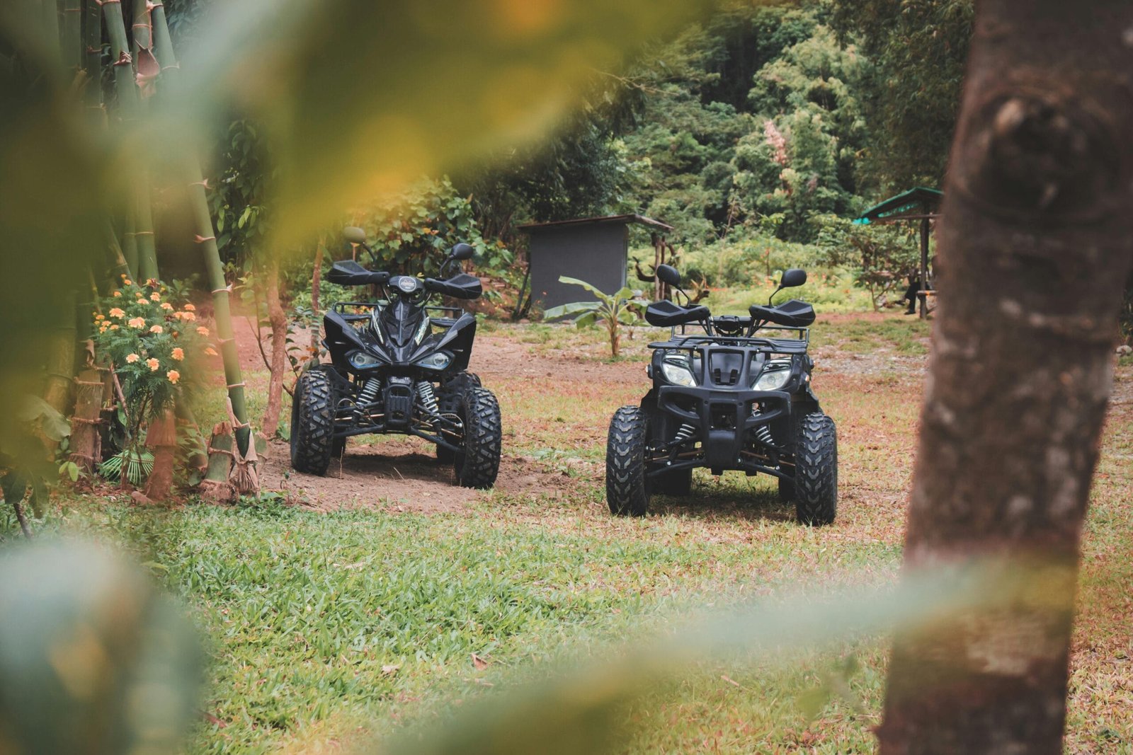 Goa atv