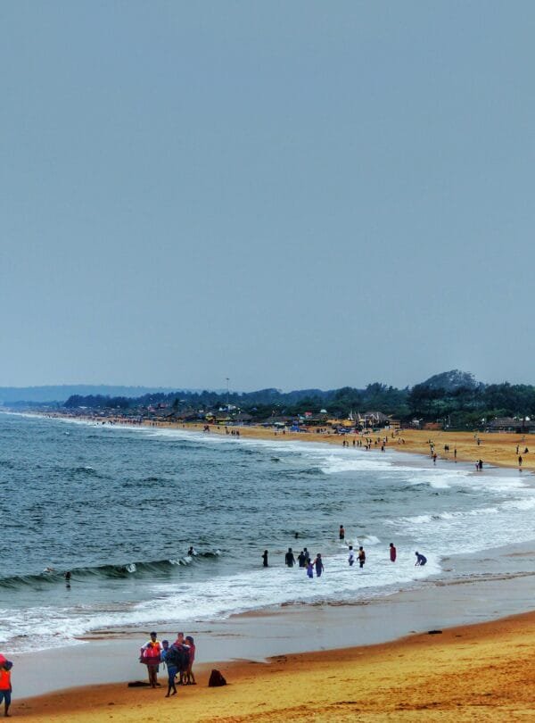 One Goa- image1